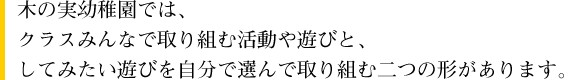 木の実幼稚園では、クラスみんなで取り組む活動や遊びと、してみたい遊びを自分で選んで取り組む二つの形があります。